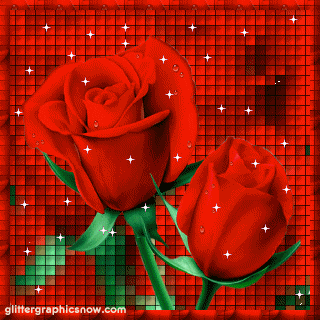 rosas-15619