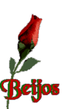 Resultado de imagem para rosas vermelhas gif animado